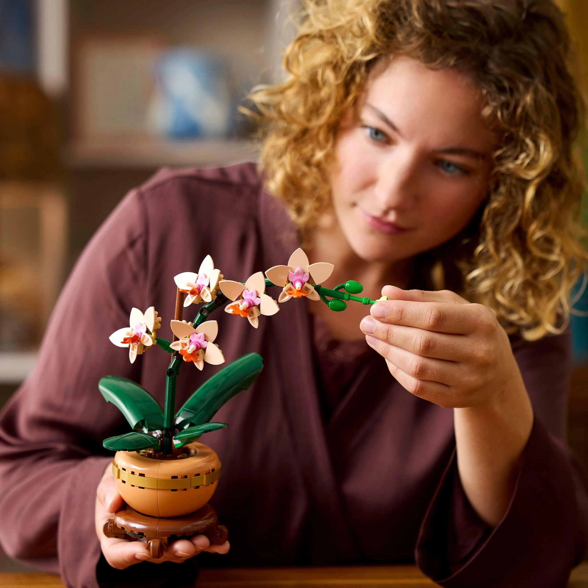 LEGO Botanicals L’Orchidée Miniature 10343 Fleurs Artificielles pour Adulte Plante avec Pot Style Terracotta Décoration Intérieure